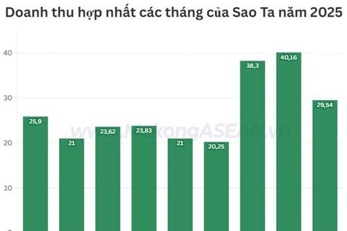 Doanh thu Sao Ta quay đầu đi lùi trong tháng 9/2025
