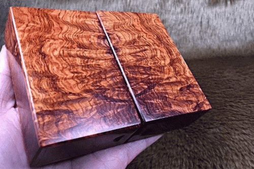 Tiếc không nói nên lời: Sự thật gây sốc về loại gỗ quý hiếm giá 50 tỷ đồng, nhiều người đau lòng 'đứt ruột' vì từng dùng làm củi nhóm bếp