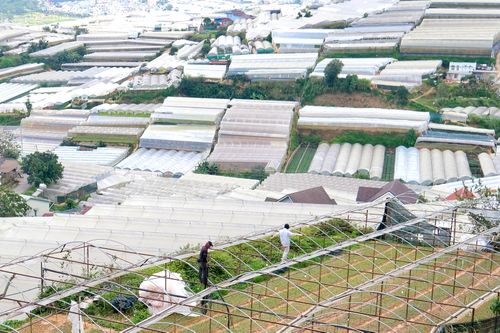 Đà Lạt trong vòng xoáy bê tông, nhà kính: Tỉnh cam kết siết quản lý xây dựng