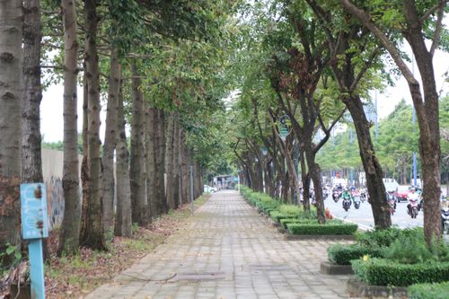 Vì sao TP.HCM chưa thể mở rộng làn xe đạp riêng?