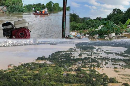 Nước sông Hồng dâng cao 'nuốt' làng bãi giữa, người dân khóc ròng