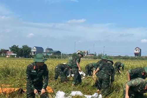260 cán bộ, chiến sĩ công an, quân đội giúp nhân dân xã Trần Phú gặt lúa