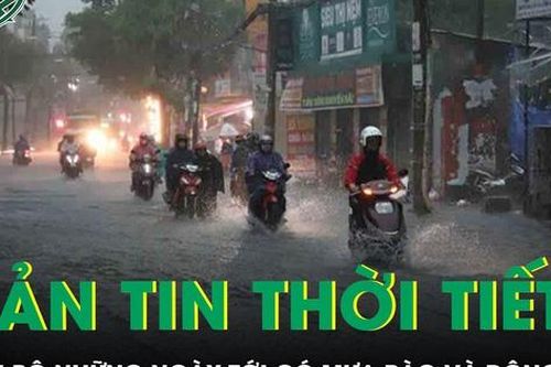 Bản tin thời tiết: Nam Bộ những ngày tới có mưa rào và dông vài nơi