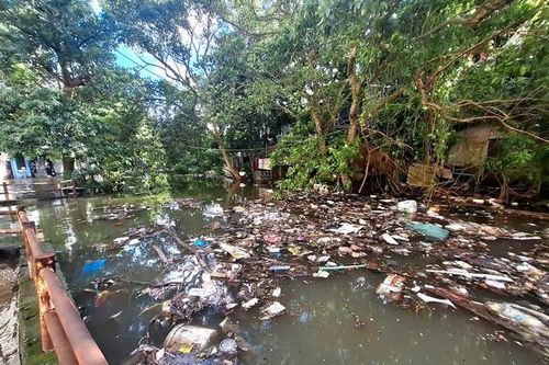 Nước rút chậm, Hà Nội 'loay hoay' giữa ngập úng và rác thải