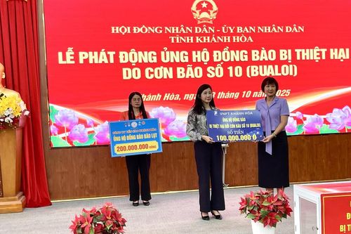 Khánh Hòa vận động hỗ trợ các địa phương bị thiệt hại do bão số 10