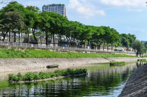 Sông Tô Lịch: Từ trục văn hóa tới 'dòng sông đen'
