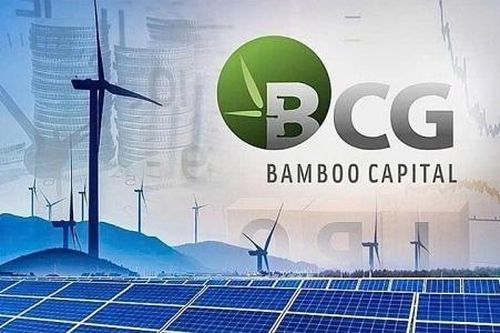 Bamboo Capital và Tracodi xin lỗi cổ đông