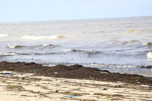 Quảng Trị: Nỗ lực dọn rác, làm sạch bãi biển Nhật Lệ sau bão số 10