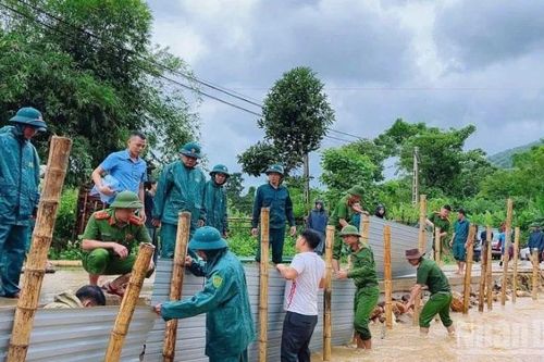 Bộ Nông nghiệp và Môi trường yêu cầu bảo đảm an toàn đê điều ứng phó bão số 11