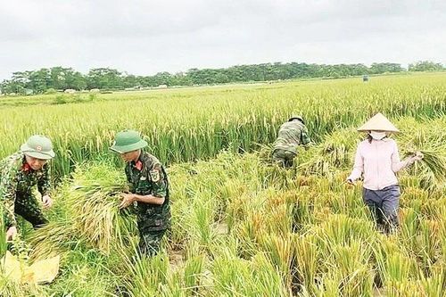Chủ động ứng phó lũ lớn trên các sông
