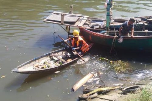 Thu gom cá chết trên sông Phú Lộc