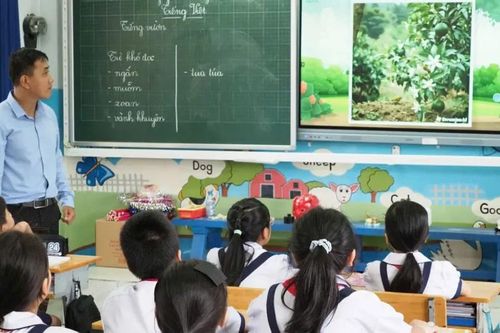 TPHCM: Bồi dưỡng kỹ năng công dân số cho giáo viên