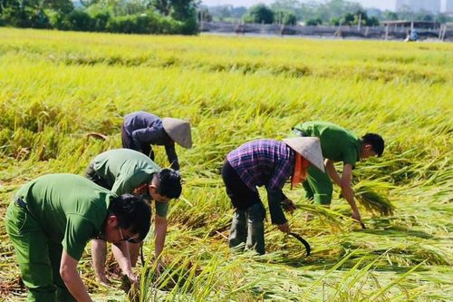Thủ tướng yêu cầu thần tốc khắc phục hậu quả bão số 10, sớm ổn định cuộc sống Nhân dân