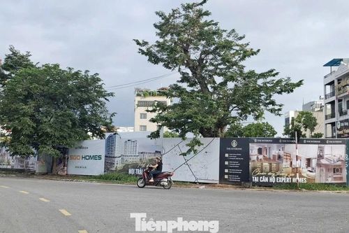 Giá chung cư ở tỉnh lẻ 'nhảy múa' lên đến 80 triệu đồng/m2
