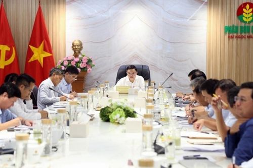 Trung tâm Công nghiệp năng lượng sinh thái: Định hướng phát triển mới của Cụm Khí - Điện - Đạm Cà Mau