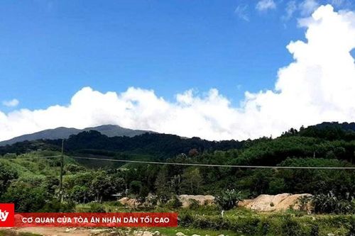 Bắt giữ người đàn ông nổ súng chỉ thiên giữa đường