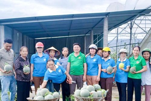 Người dân chung tay 'giải cứu' nông sản sau bão, lũ