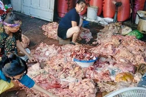 Công an xã Quỳnh Lưu thu giữ gần 1,5 tấn mỡ động vật bẩn