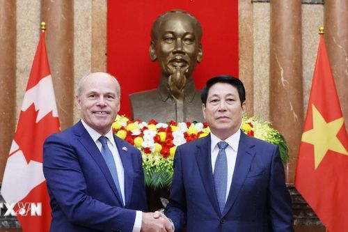 Chủ tịch nước: Việt Nam luôn mong muốn phát triển quan hệ hữu nghị với các nước