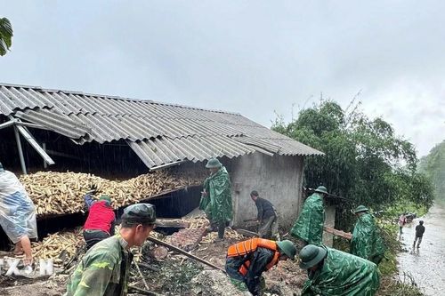Chỉ đạo của Bộ Chính trị về khắc phục hậu quả do bão số 10 gây ra
