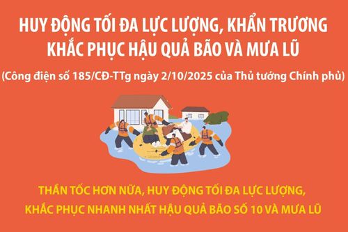 Huy động tối đa lực lượng, khẩn trương khắc phục hậu quả bão và mưa lũ