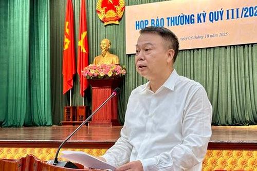Đầu tư tỷ USD, tại sao các DN kinh doanh casino của Việt Nam vẫn thua lỗ?