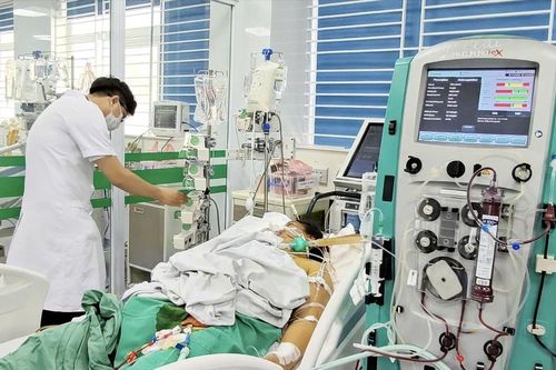 Coi chừng xoắn khuẩn - mầm bệnh ẩn trong nước lũ