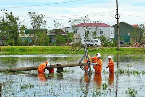 Chạy đua khôi phục điện sau bão số 10 - Bài 1: Huy động tối đa lực lượng