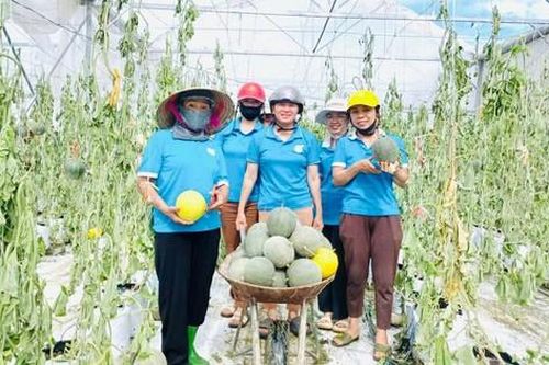 Những phiên chợ nghĩa tình cứu nông sản vùng lũ