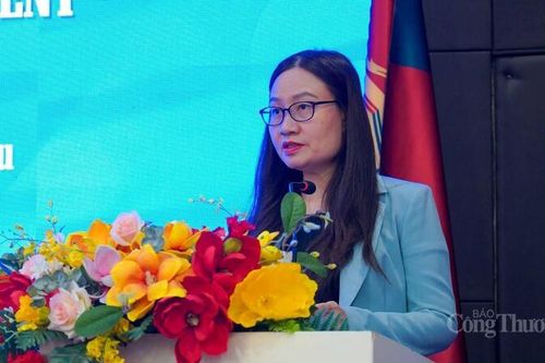 Diễn đàn Việt Nam - Nhật Bản: Triển vọng hợp tác trong kỷ nguyên mới