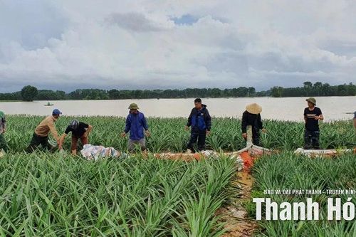 Xã Yên Phú: tập trung khắc phục hậu quả sau mưa bão số 10