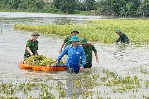 Giữa mưa lũ, 'hạt gạo làng ta' thấm đượm tình người