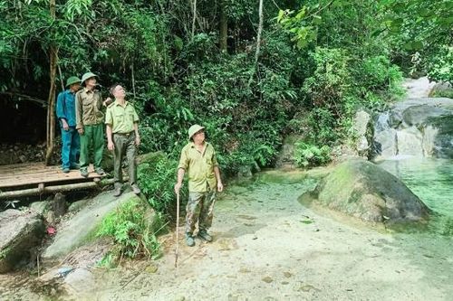 Bắc Ninh: Cải thiện sinh kế, nâng cao ý thức bảo vệ rừng