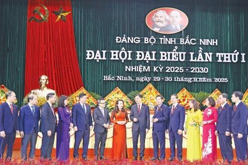 Kỳ vọng vào sự chuyển mình, vươn lên mạnh mẽ