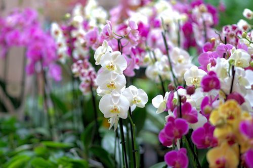 Bản tin Dự báo thời tiết ngày 4/10/2025