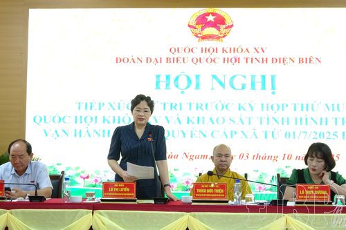 Đại biểu Quốc hội tỉnh tiếp xúc cử tri xã Núa Ngam và Mường Nhà