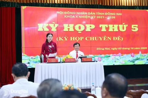 Đại biểu thảo luận, đóng góp ý kiến sôi nổi tại Kỳ họp thứ 5, HĐND tỉnh Đồng Nai khóa X