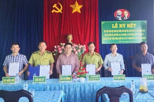 Hạt Kiểm lâm khu vực Chư Păh ký kết quy chế phối hợp quản lý bảo vệ rừng với 5 xã