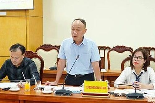 VFF hỗ trợ Thái Nguyên tổ chức Giải bóng đá Tứ Hùng 2025