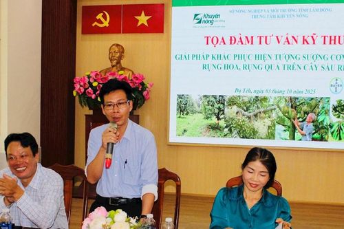 Tọa đàm tư vấn kỹ thuật về cây sầu riêng