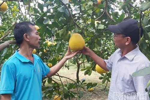 Xã Tân Lạc: Nở rộ phong trào thi đua yêu nước