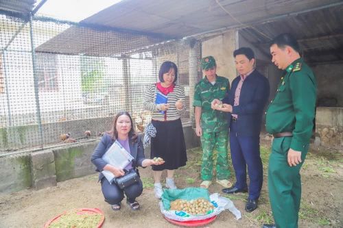 Nghiệm thu các nhiệm vụ, dự án khoa học công nghệ có tính thực tiễn cao