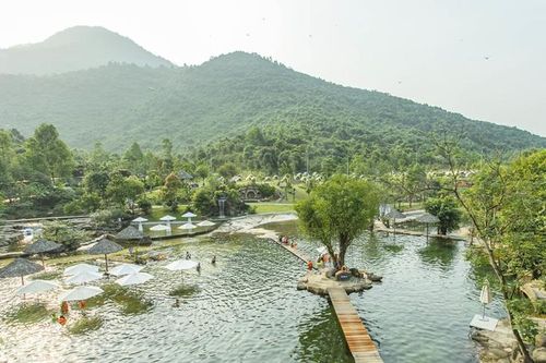 Gắn phát triển rừng với tạo sinh kế cho cộng đồng
