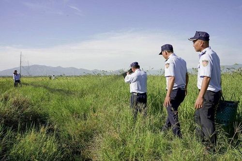 Ngăn chặn nạn săn bắt trái phép để phát triển chim yến bền vững ở Khánh Hòa