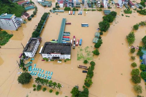 Đề xuất xóa tên bão Bualoi do gây thiệt hại nặng nề