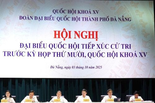 Cử tri Đà Nẵng kiến nghị nhiều vấn đề dân sinh bức thiết