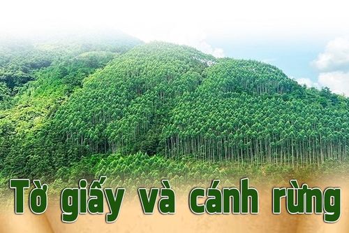 Tờ giấy và cánh rừng