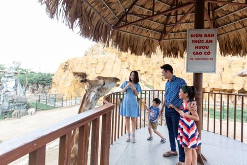 Giá nhà tăng vọt: Nguyên nhân dẫn tới tỷ suất sinh thấp kỷ lục?