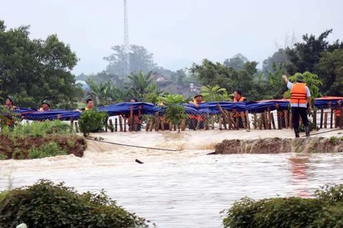 Ngừng tiêu nước vào hệ thống công trình thủy lợi Bắc Đuống