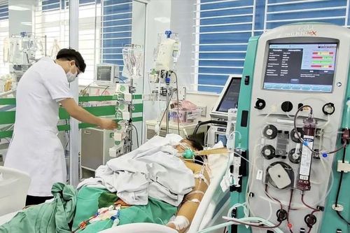 Nữ công nhân nguy kịch do nhiễm xoắn khuẩn vàng da